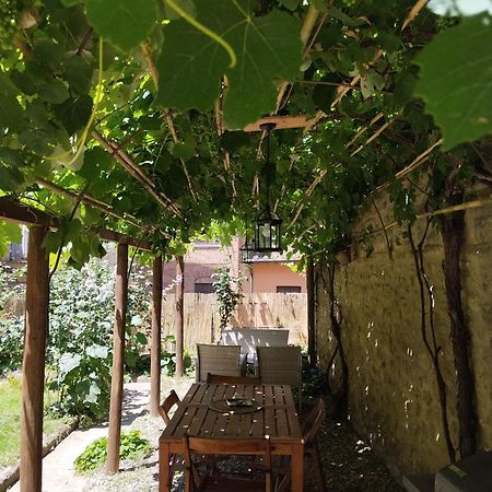 Il Cantuccio- Appartamento In Centro Con Giardino فولتيرا المظهر الخارجي الصورة