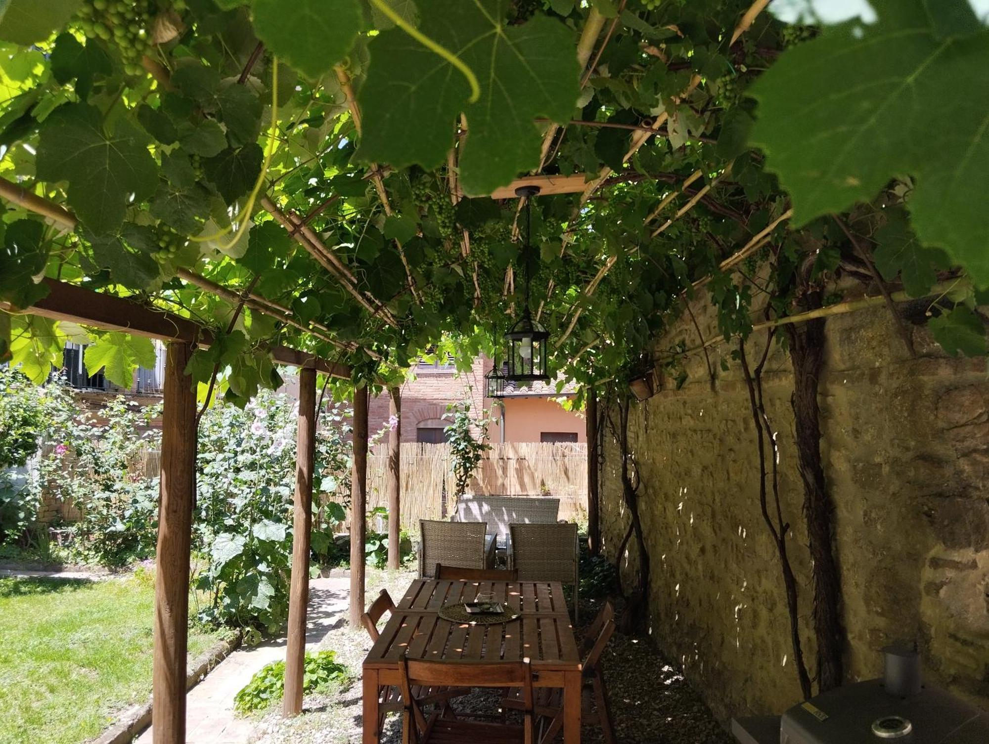 Il Cantuccio- Appartamento In Centro Con Giardino فولتيرا المظهر الخارجي الصورة